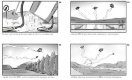 Thumbnail for Slide 11