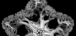Thumbnail for Slide 5