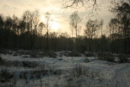 Thumbnail for Slide 9