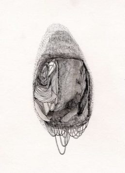 Thumbnail for Slide 12