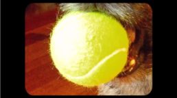 Thumbnail for Slide 1