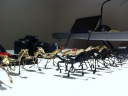 Thumbnail for Slide 3