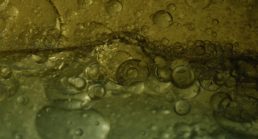 Thumbnail for Slide 4