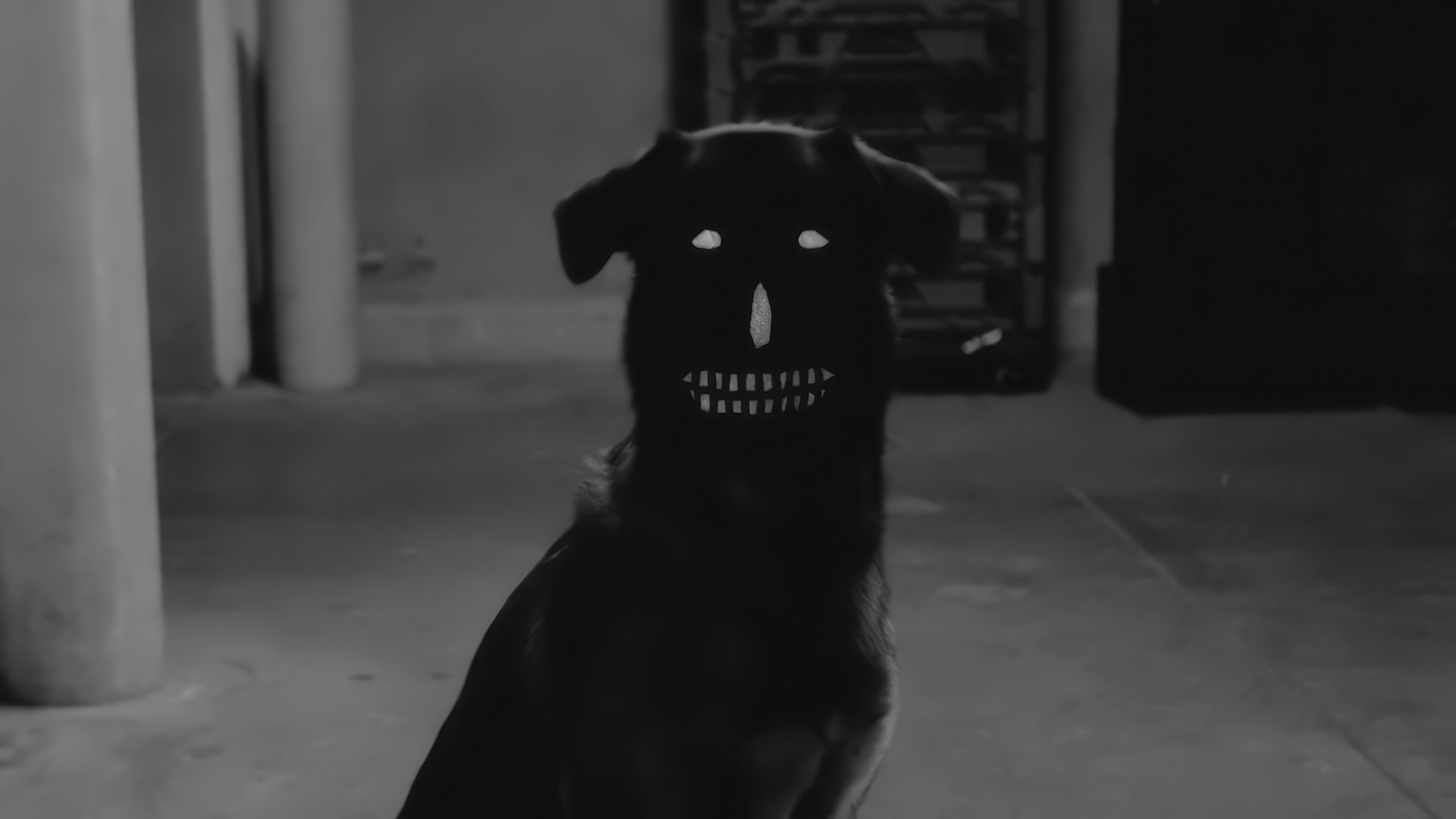 Earl Sweatshirt - Chum