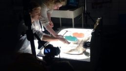 Thumbnail for Slide 8