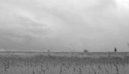 Thumbnail for Slide 3