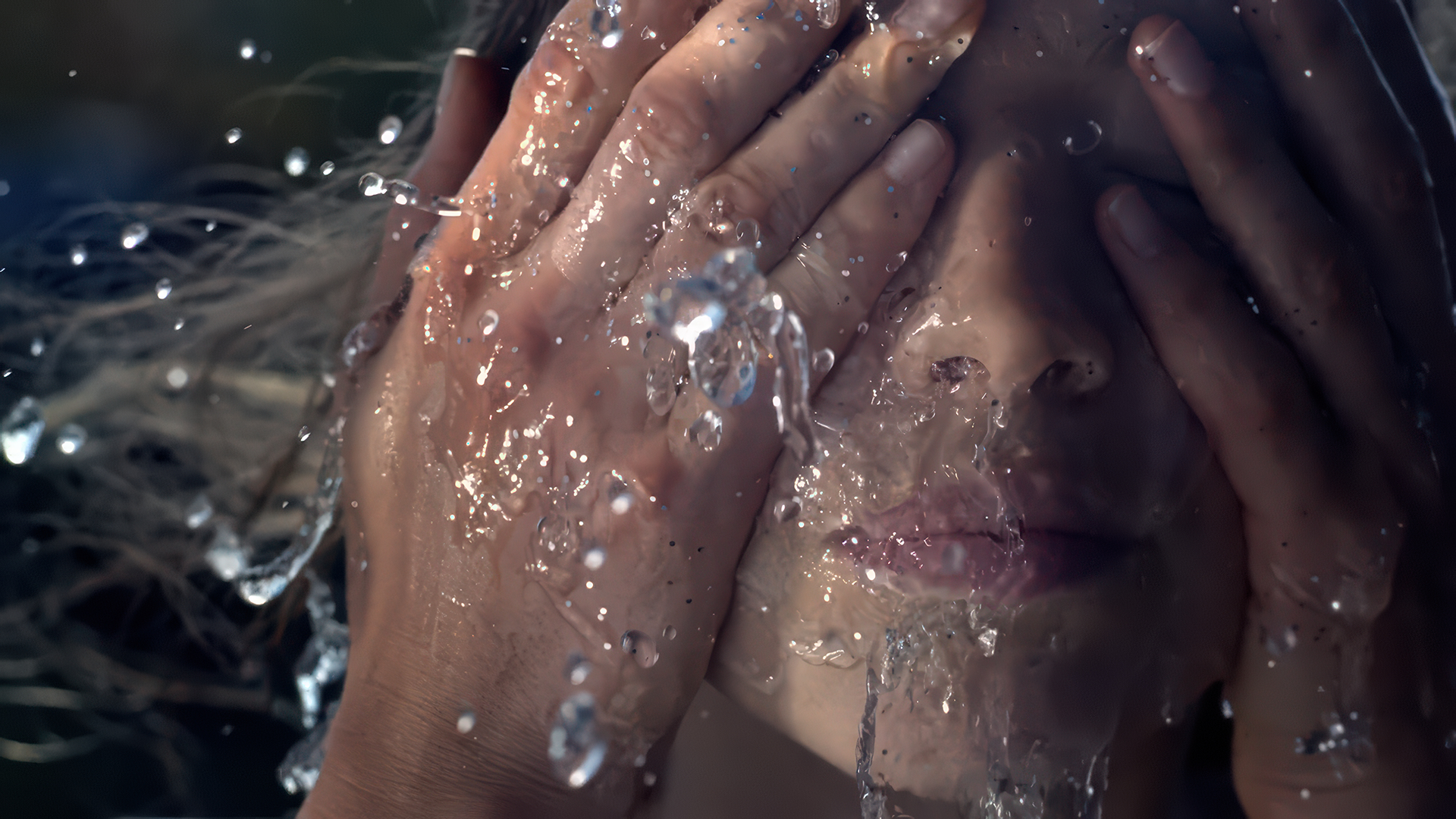 The Lake S/S 12 