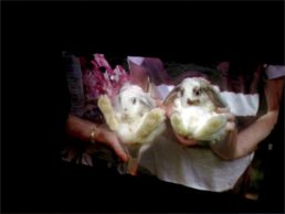Thumbnail for Slide 7