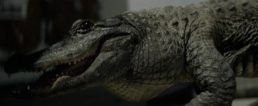 Thumbnail for Slide 3