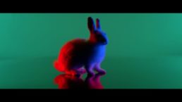 Thumbnail for Slide 7