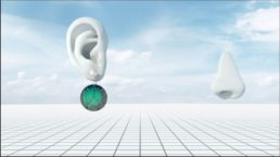 Thumbnail for Slide 12