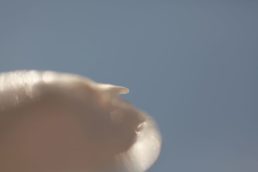 Thumbnail for Slide 13