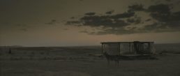 Thumbnail for Slide 1