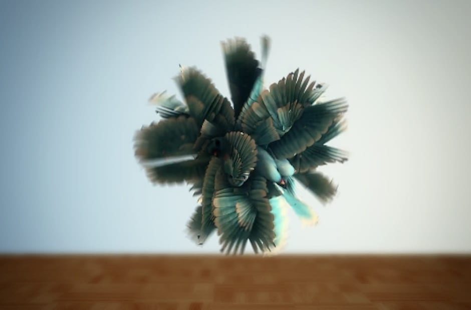 Video placeholder for Slide 1