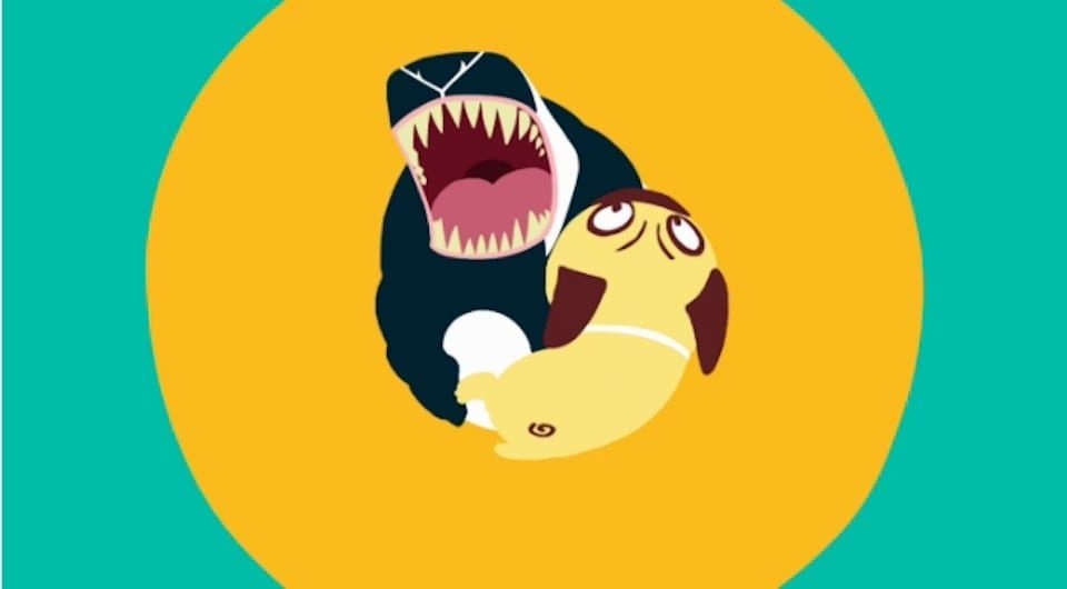 Video placeholder