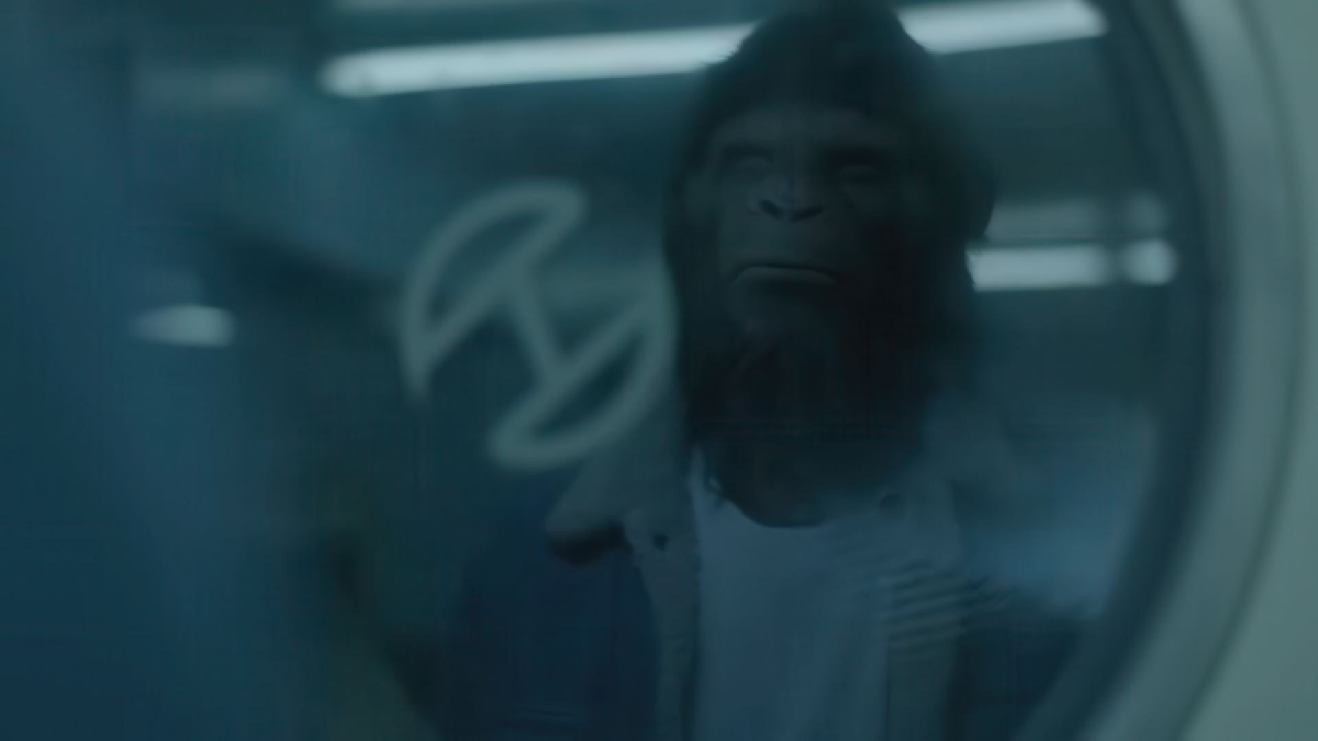 DJ Snake & AlunaGeorge,  You Know You Like It
