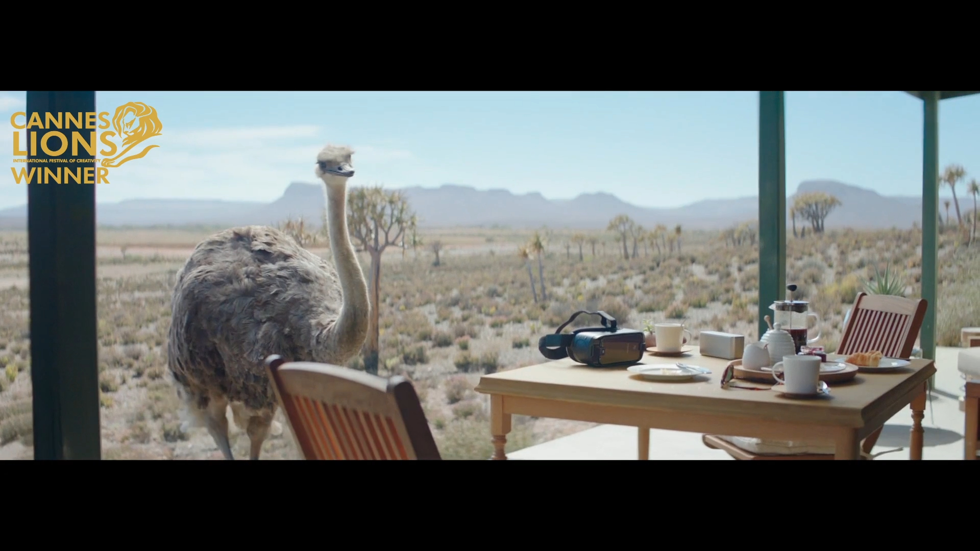 Samsung, Ostrich