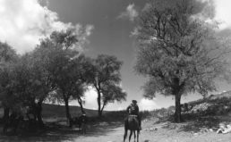 Thumbnail for Slide 14