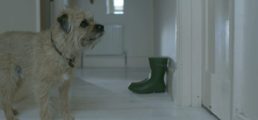 Thumbnail for Slide 1