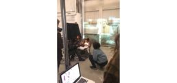 Thumbnail for Slide 10