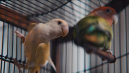 Thumbnail for Slide 6