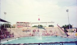 Thumbnail for Slide 6