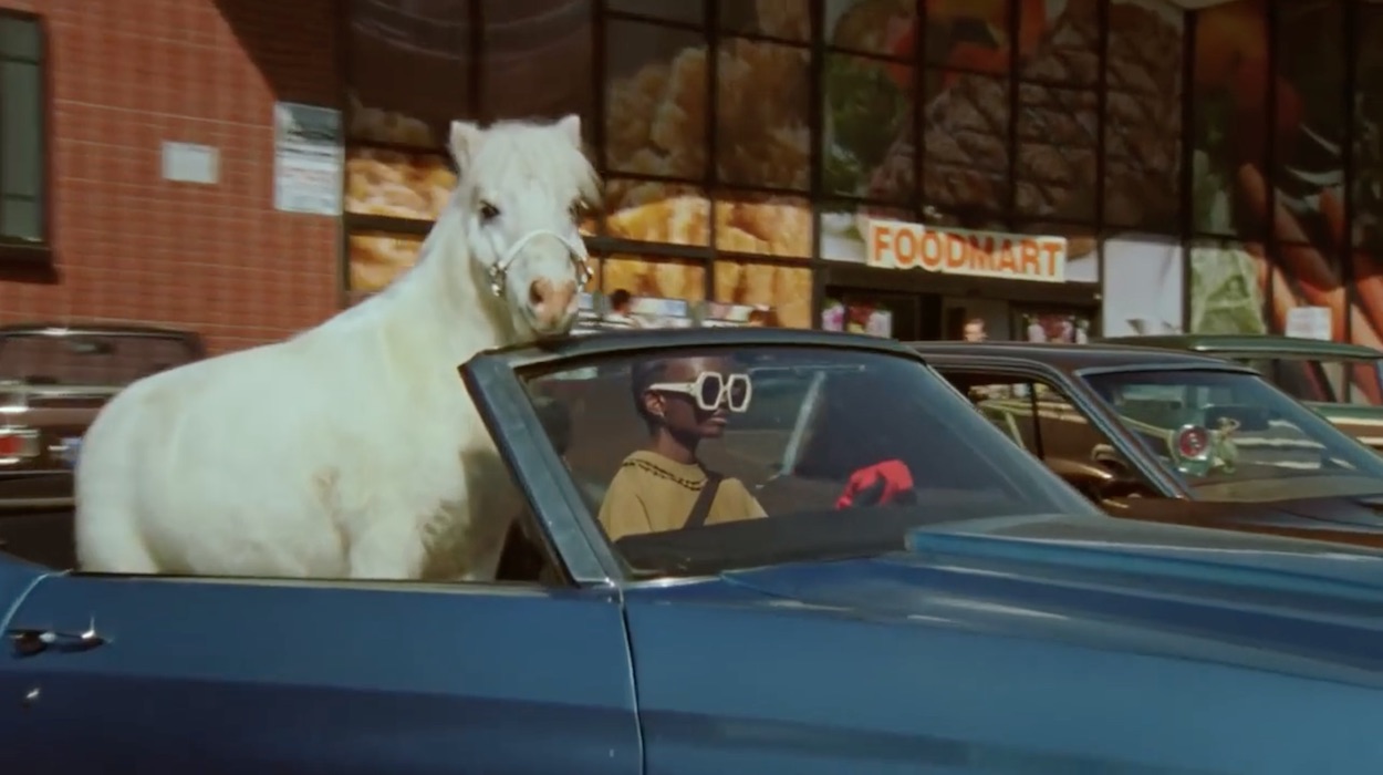 Gucci, Of Course a Horse