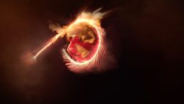 Thumbnail for Slide 4