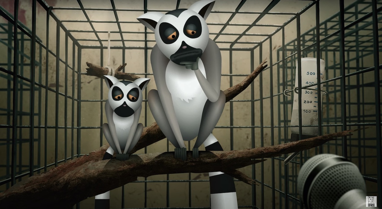Born Free, Creature Discomforts 