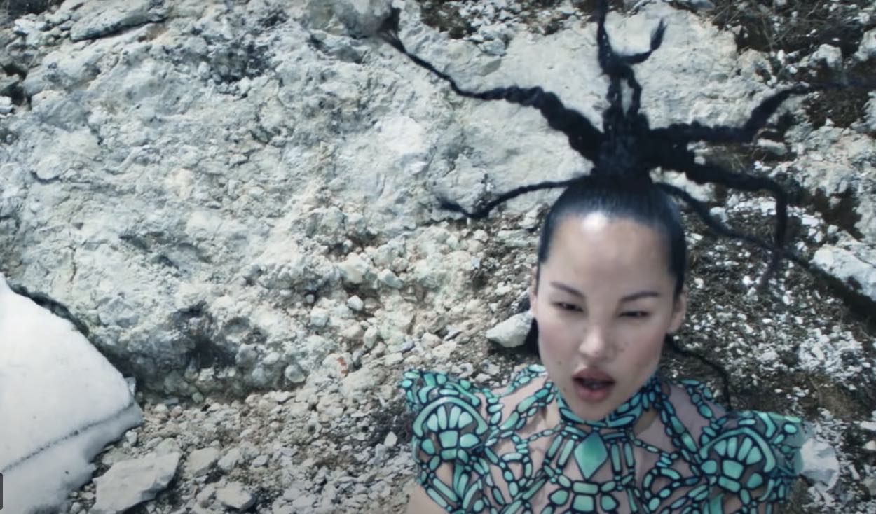 Iris Van Herpen, Earthrise
