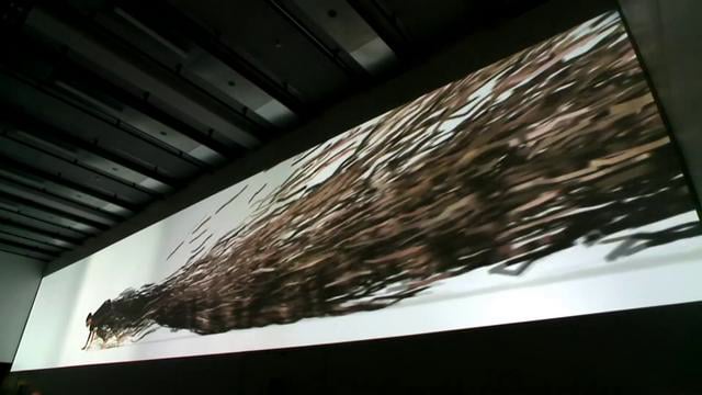 Video placeholder for Slide 3