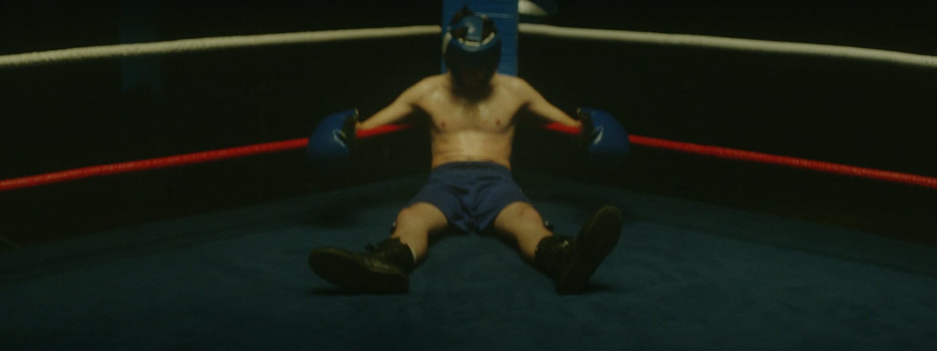 Video placeholder for Slide 5