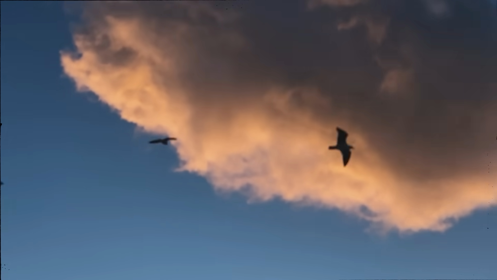 CALM, Suicidal Doesn't Always Look Suicidal