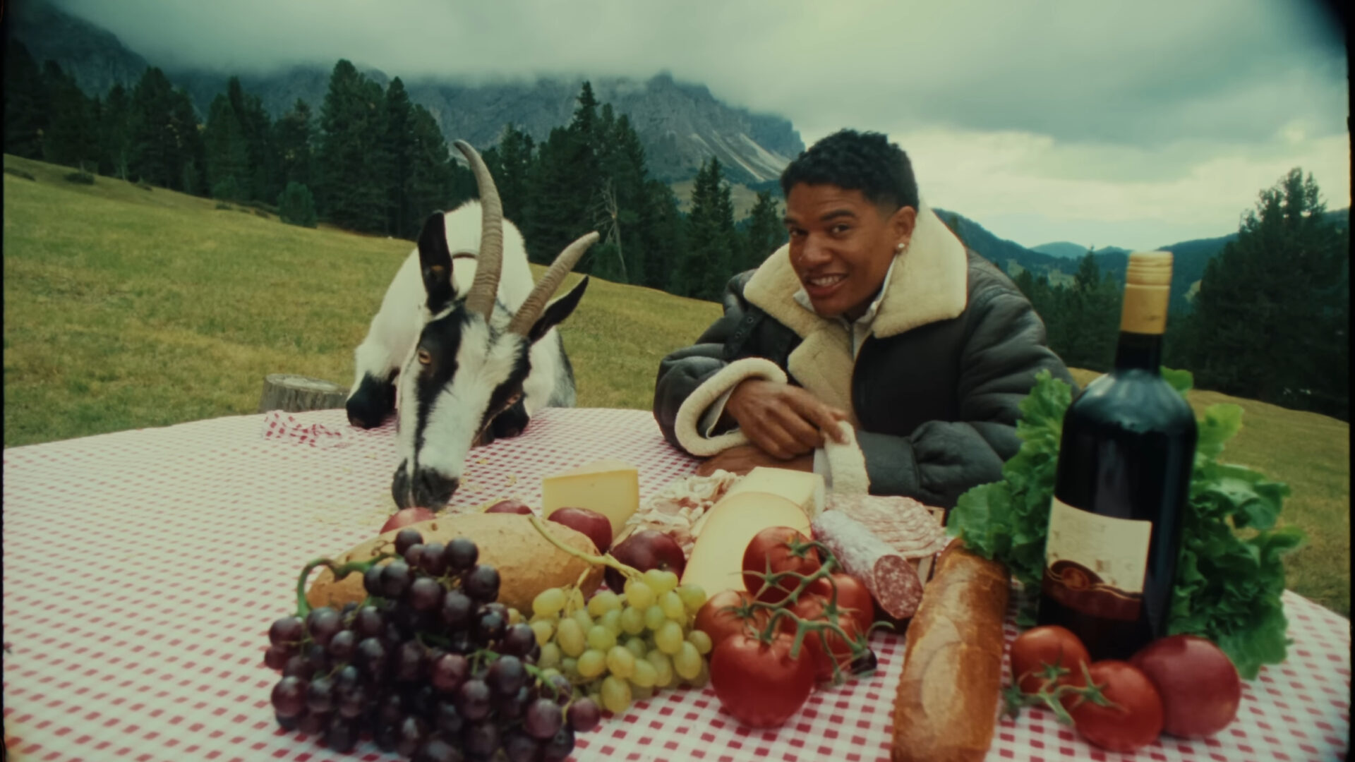 Ants Live, Number One Candidate