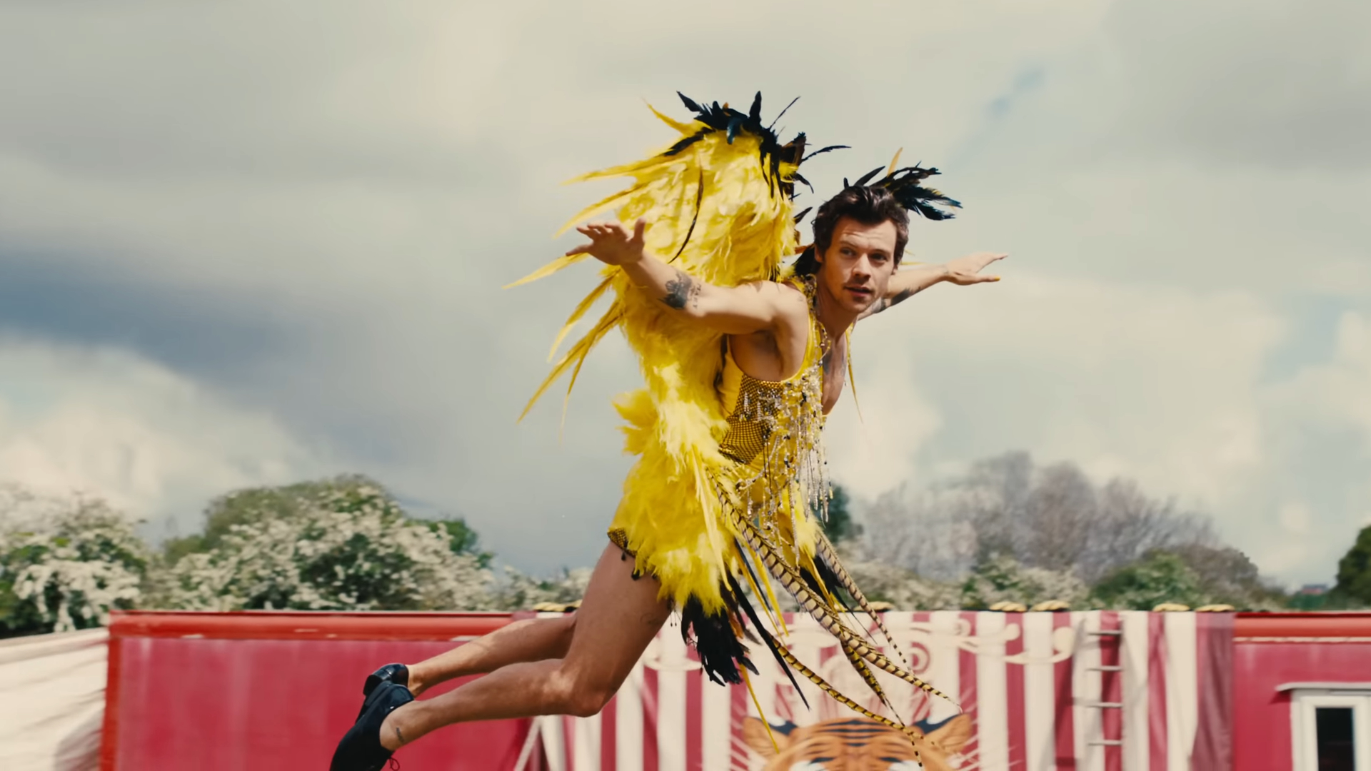 Harry Styles, Daylight