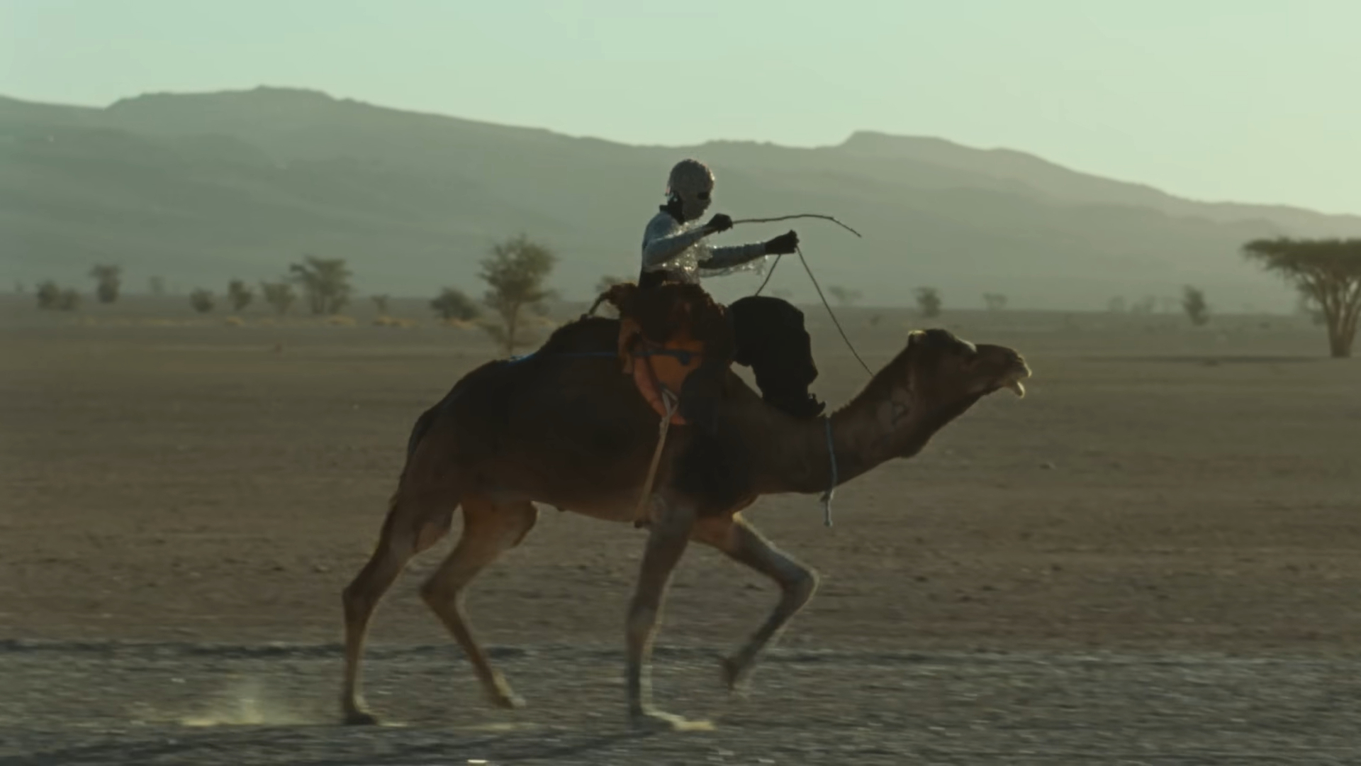 NASKAR - nusar3000