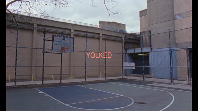 Video placeholder for Slide 5