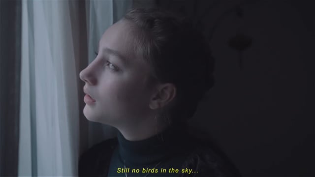 Video placeholder for Slide 2