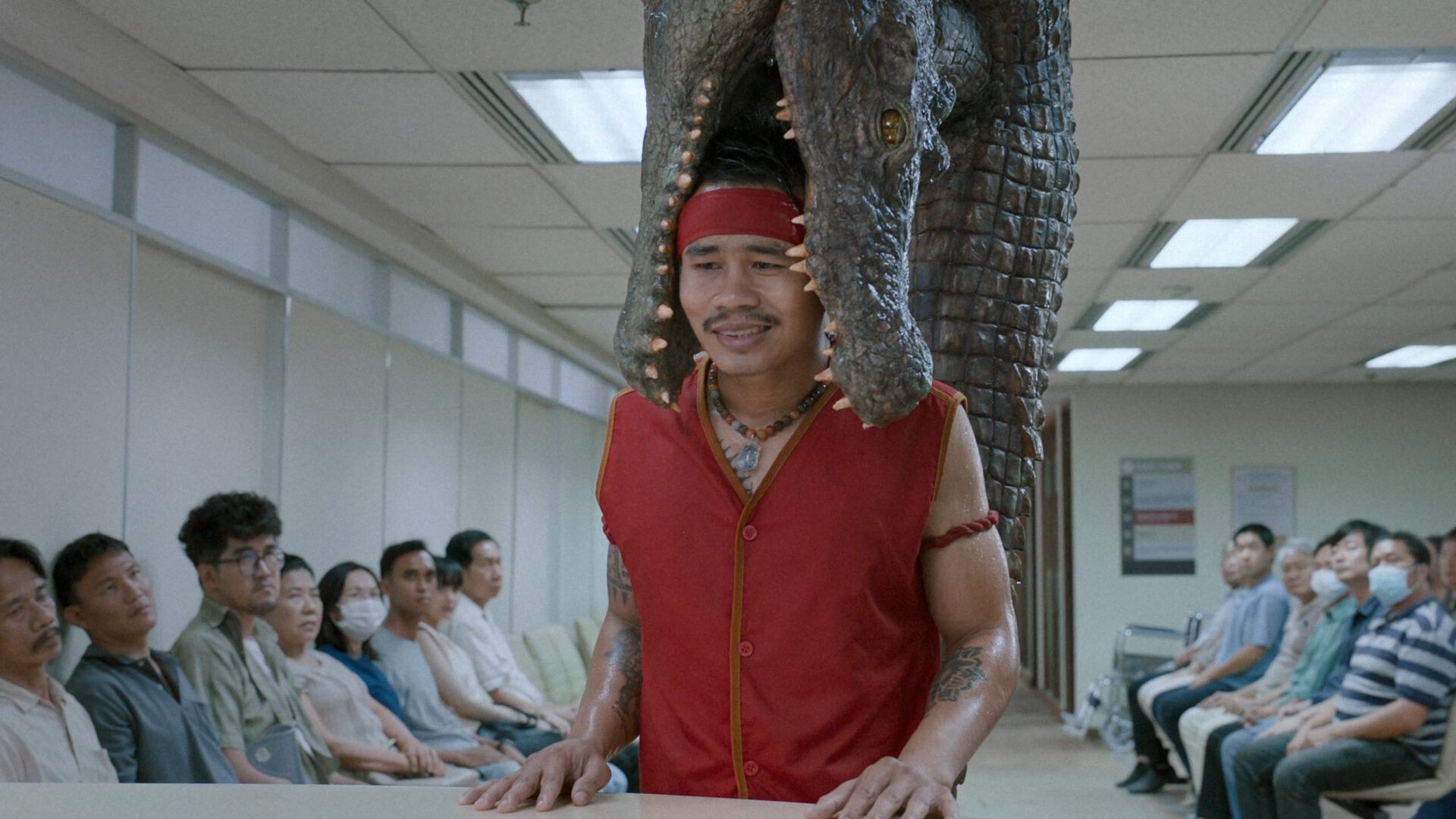 First Choice - Crocodile