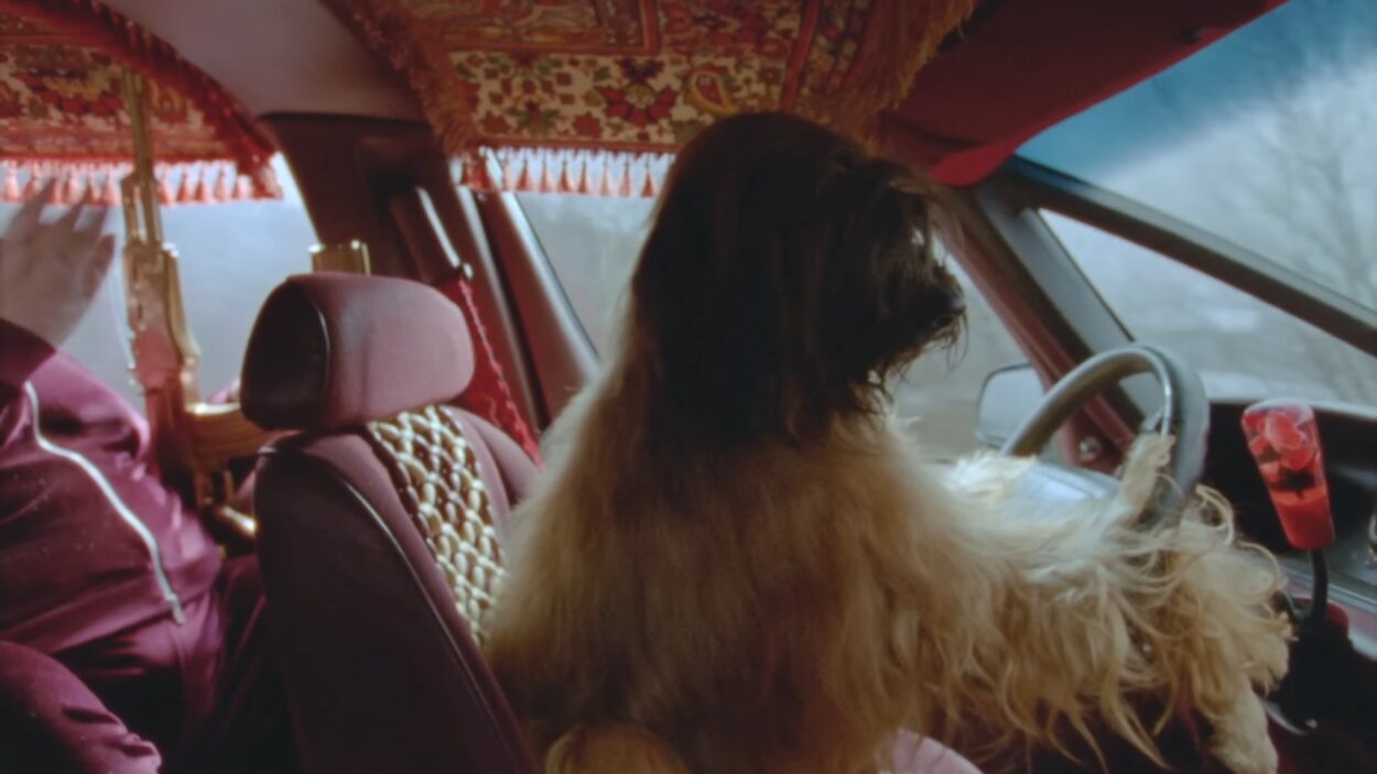 Video placeholder for Slide 3