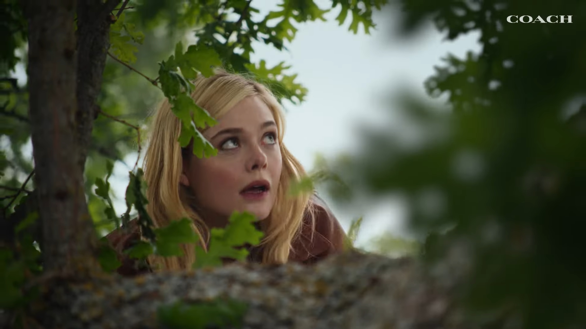 Revive Your Courage, Coach