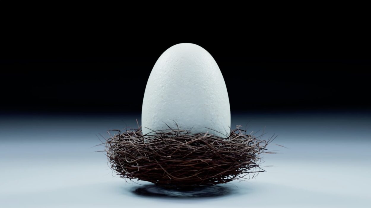 New Balance: Gator Run