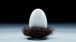 Thumbnail for Slide 1