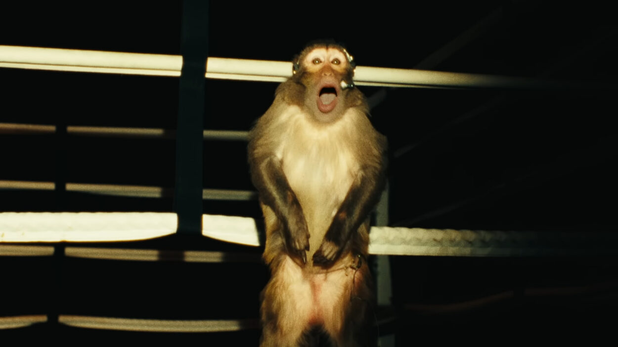 Video placeholder for Slide 5