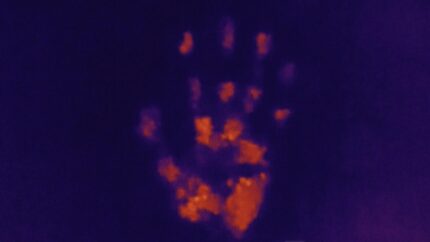 Within Reach - Obvious. Director: Maxime Ellies