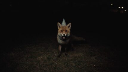 Ocado, Life Delivered - Love Song. Director: Louis McCourt