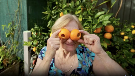 1.4 Awards Of Brilliant Filmmaking - 1.4 Awards Of Brilliant Filmmaking