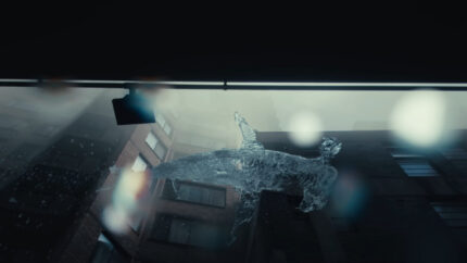 The Australian Marine Conservation Society, Fragile Oceans - Collider. Director: Andrew van der Westhuyzen