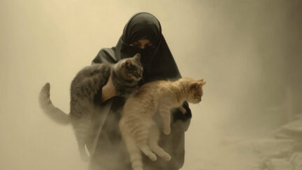 The Decisive Moment: Midnight Drop - OneDay. Director: Samir Mallal, Bouha Kazmi