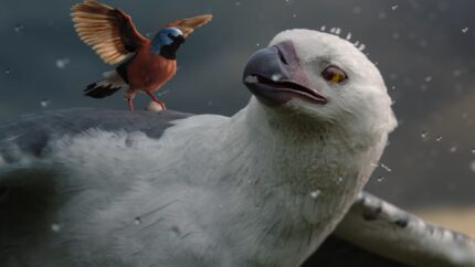 Allianz, Care You Can Count On - FINCH. Director: Michael Gracey
